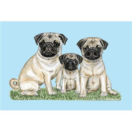 Betsy Drake Betsy Drake DM077 Pugs Door Mat 18"x26" DM077